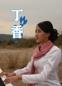 滤镜电视剧免费观看完整